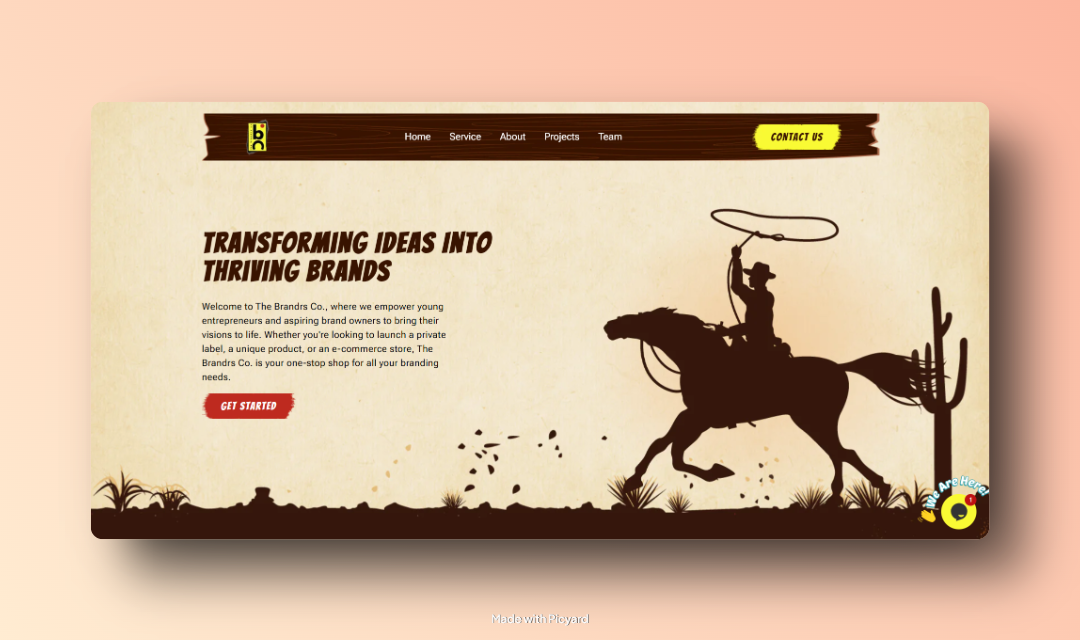 Brandrs Co website